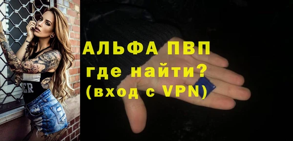 амф Новодвинск