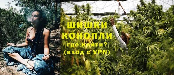 амф Новодвинск