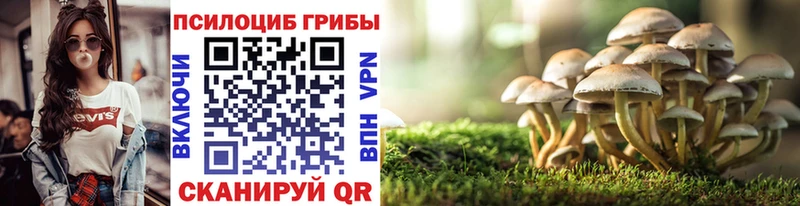 сайты даркнета Telegram  как найти закладки  Эртиль  Галлюциногенные грибы мицелий 
